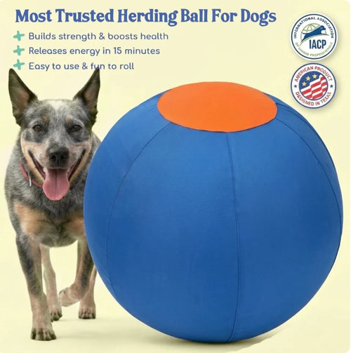 Solava Herding Ball